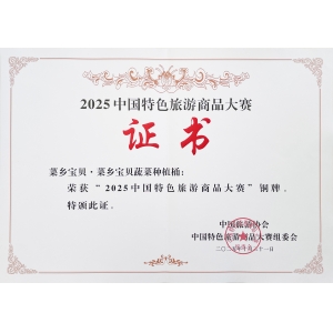 “2025中国特色旅游大赛”铜牌